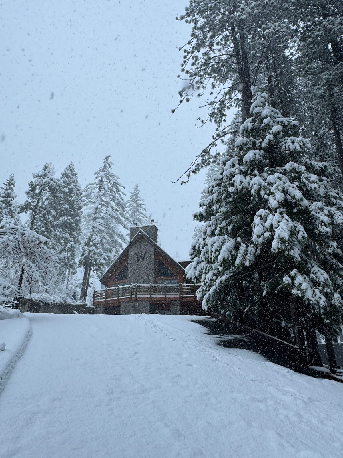 The W House in falling snow